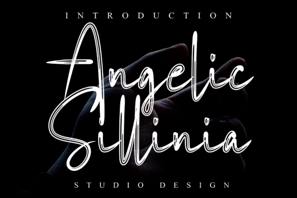Angelic Sillinia: A Brushed Script Font for Web Headers