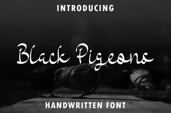 Black Pigeons: A Designer’s Honest Review