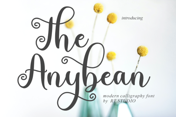 The Anybean: A Handwritten Font for Fresh Branding